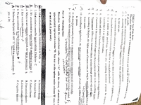 @freshmanexams psychology amu.pdf